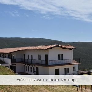 Viñas del Castillo
